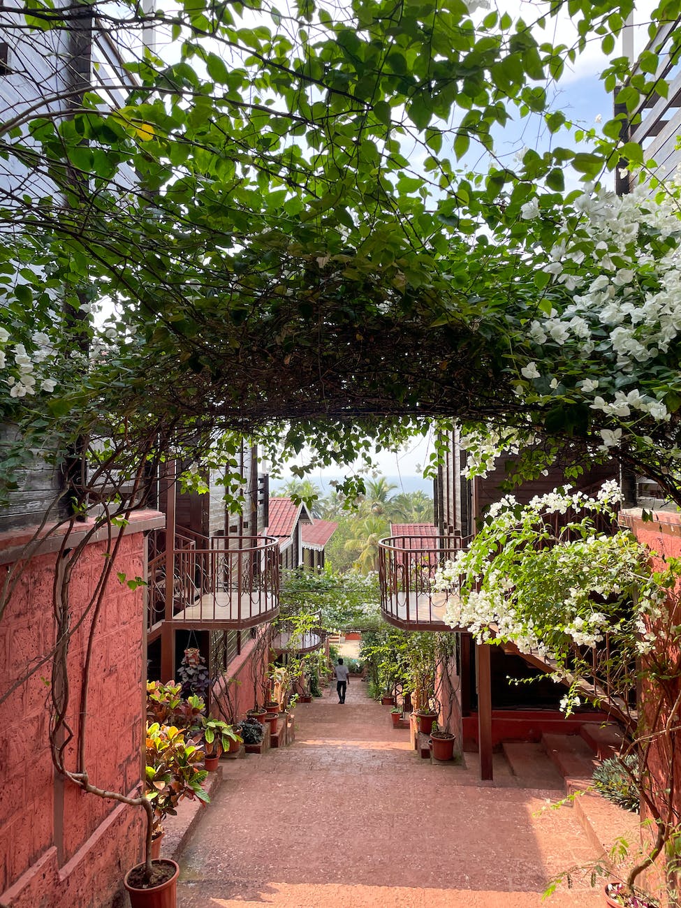 Tiny Garden, Big Harvest: Master the Art of Permaculture in Compact&nbsp;Gardens!